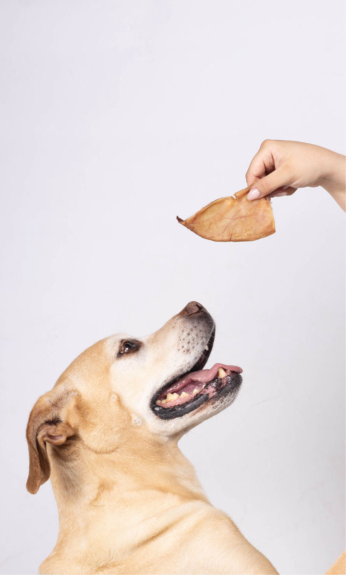 Pork Pet Chews