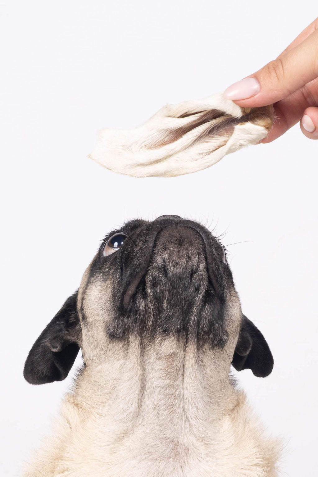 Lamb Pet Chews