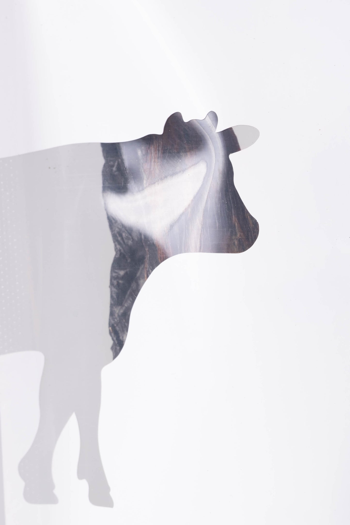 Beef Pet Snaps